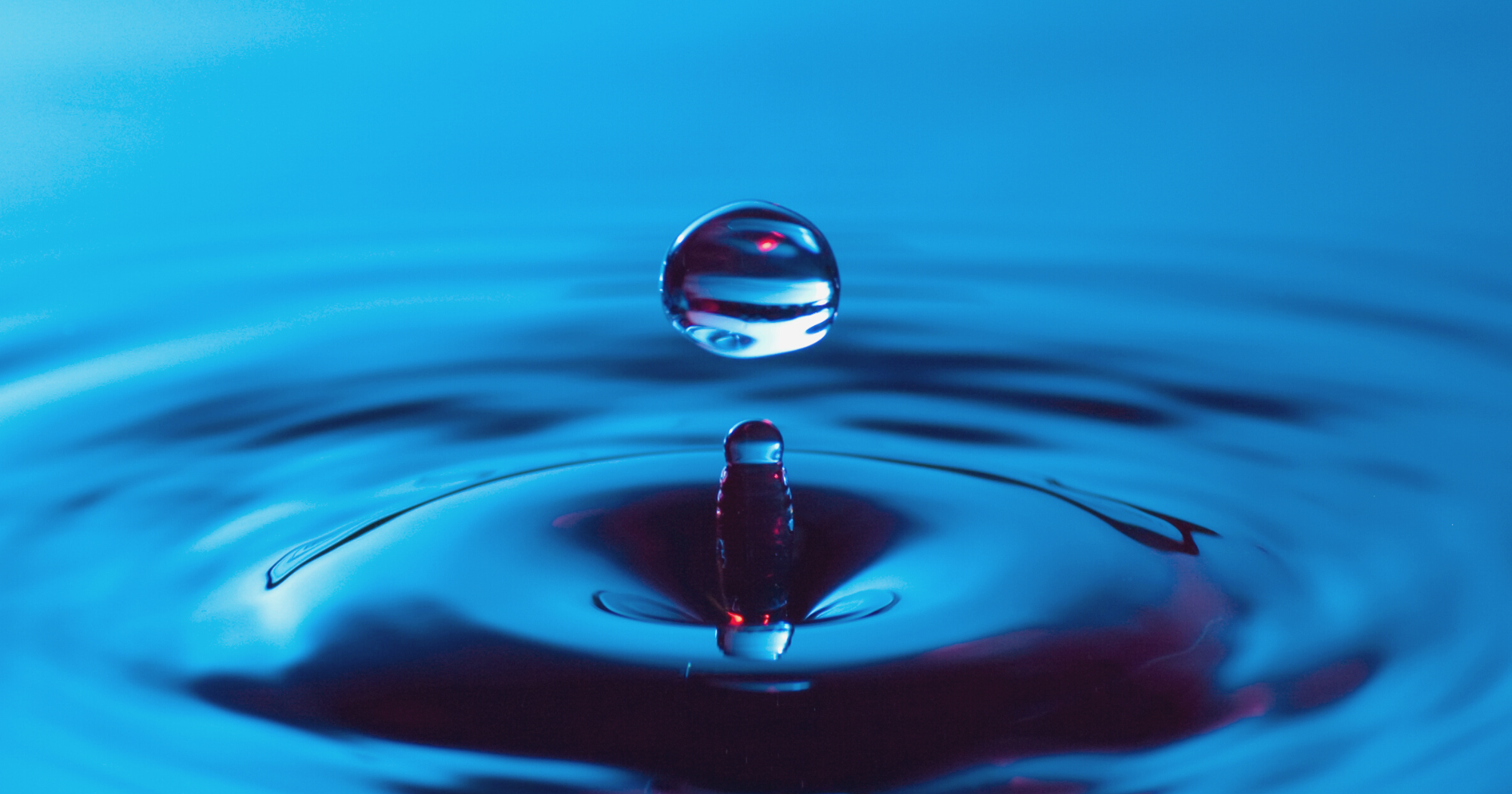 close up of water droplet 